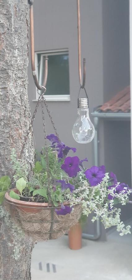 Apartman Tika Pula Zewnętrze zdjęcie